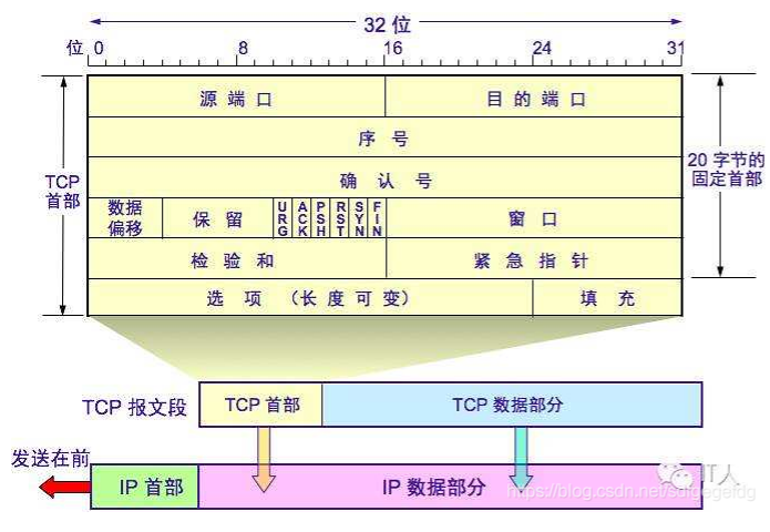 TCP数据报的格式